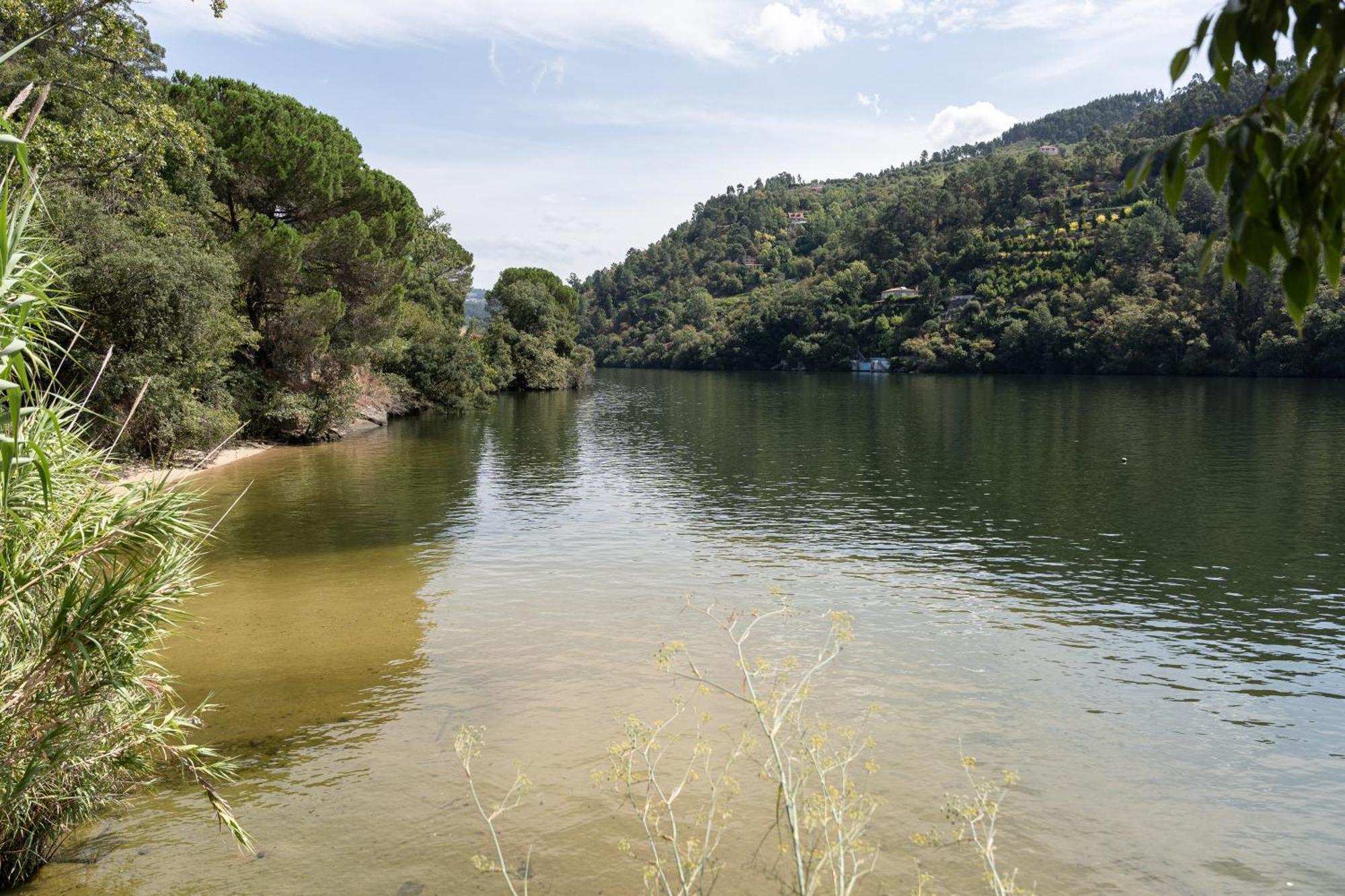 Quinta Da Ribeirinha - Douro River Pacos de Gaiolo Luaran gambar