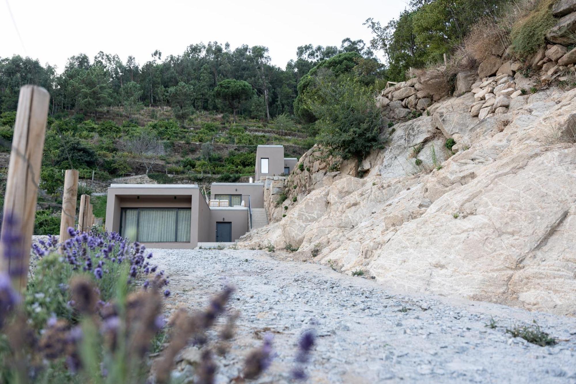 Quinta Da Ribeirinha - Douro River Pacos de Gaiolo Luaran gambar